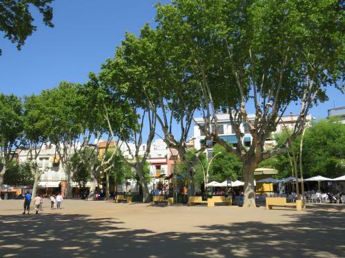 Apartamento Amplio Y Acogedor - Centro - San Luis