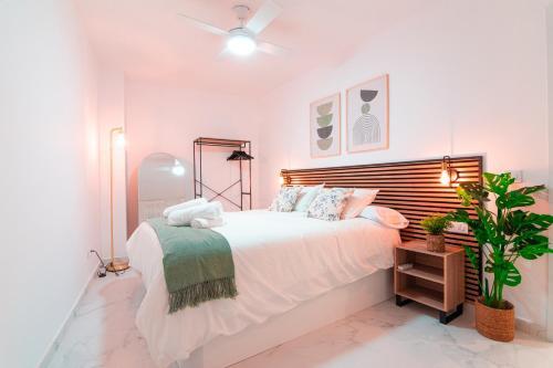 Apartamento Edomus Catedral Boutique