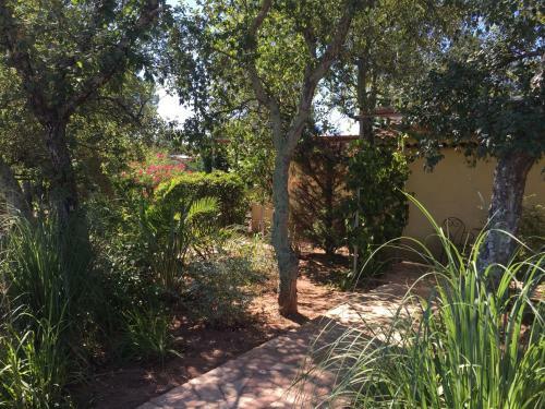 Bed & Breakfast Le Mas Du Rouquan