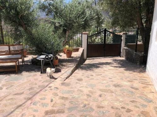 La Casa Vieja De La Monta�a