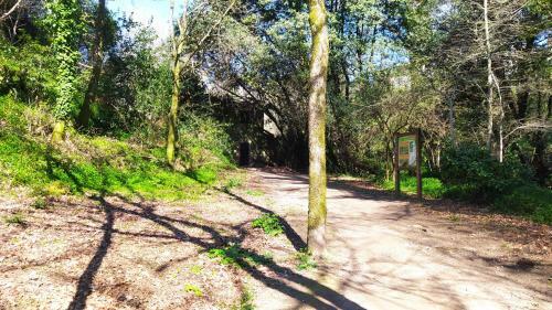 Lodge Wasi Compostela