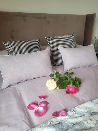 Apartamento Vacare - Sabor A Mar