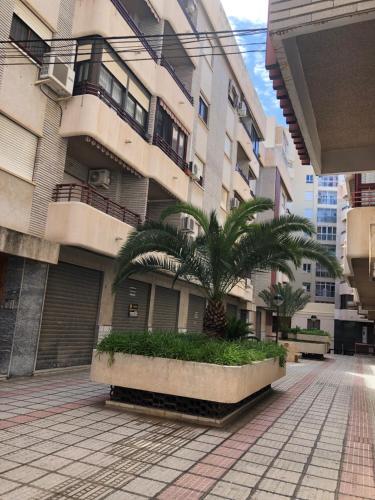 Apartamento Puerto De Santa Pola
