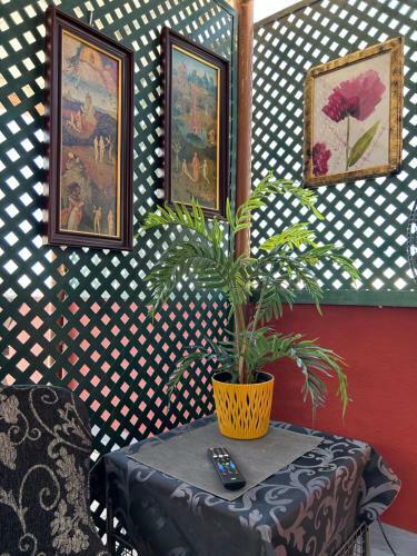 Apartamento Dream Wish
