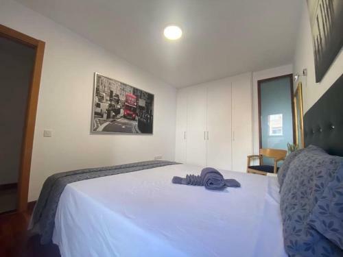 Apartamento Bright Lovely Quiet Flat Very Centric In Sc