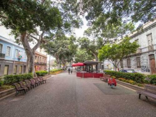 Apartamento Bright Lovely Quiet Flat Very Centric In Sc