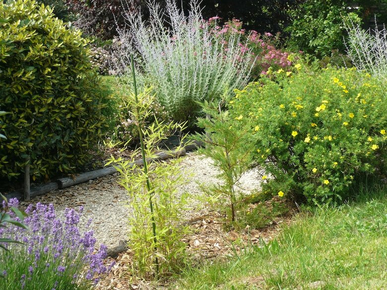 Bed & Breakfast La Tulipe P�rigourdine