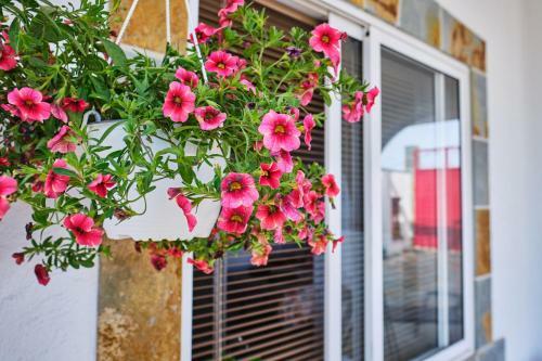 Agroturismo Tizziri Rural