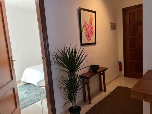 Apartamento Cozy