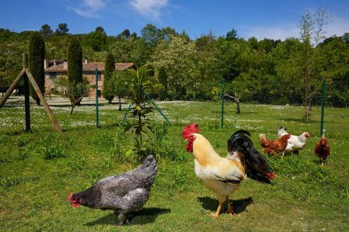 Agroturismo El Celler - Can Bonet