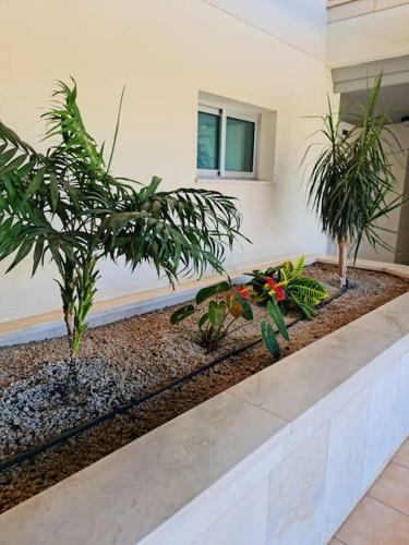 Apartamento Homely Apt In Modern Building With Pool