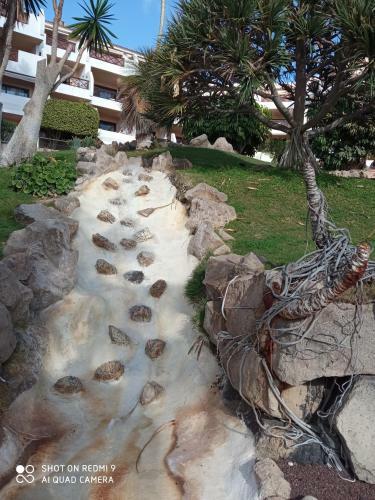 Las Meninas Tenerife