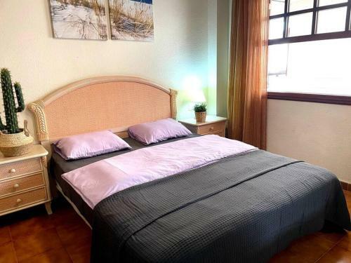 Apartamento Aqua - Tropical Dream - Oceanfront