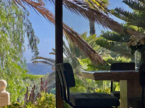 Oceanfront Villa - Amarilla Breeze