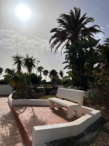 Opuncja Apartament