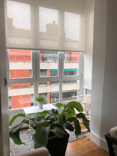 Caprichoso Apartamento En Zona Rom�ntica
