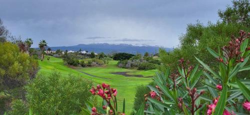 Apartamento Golf Del Sur Park Albatros