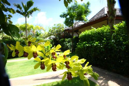 Hotel Pai Tan Villas