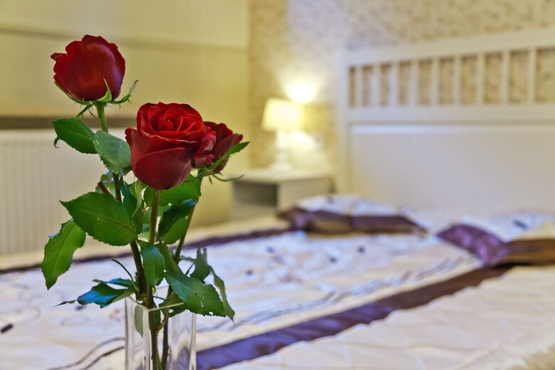 Apartamento Willa Kazimierz