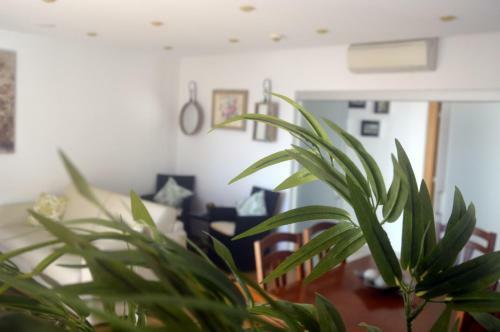 Apartamento Sol No Horizonte