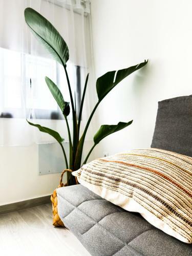 Apartamento Casa La Laja