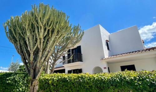 Casa Mamita Ibiza