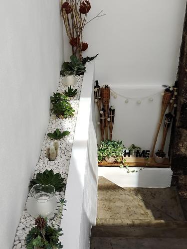 Casita El Paso