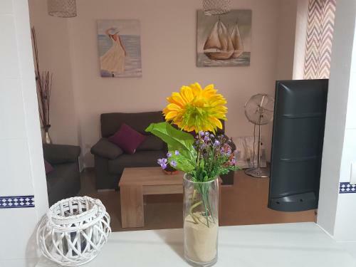 Apartamento Irina Playa