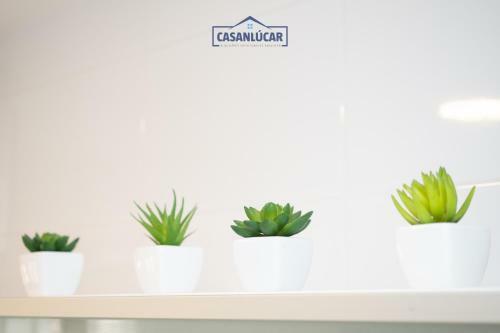 Apartamento Malandar