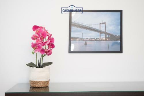Apartamento Malandar