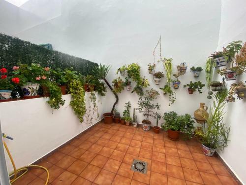 Apartamento Casa Mar
