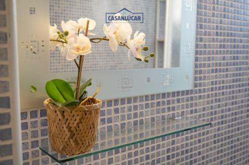 Apartamento Vivienda Magallanes