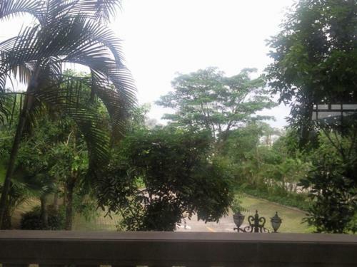 Phoenix Hotel Wuyi