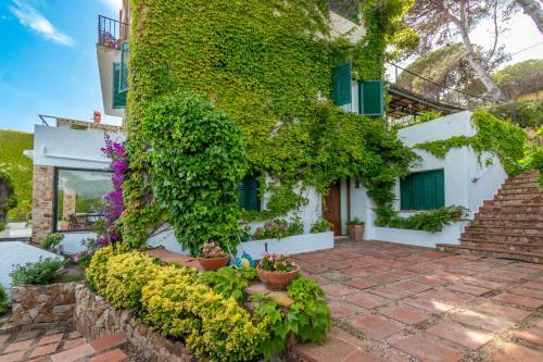 Casa Rossell�