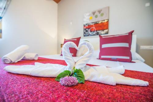 Agroturismo Can Grau Petit