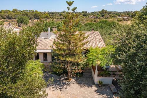 Sencelles - 39980 Mallorca
