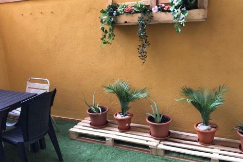 Apart. En 1ra L�nea+pkg Privado
