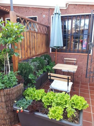 Apartamento Tranquilo En UNA Casa Con Jard�n