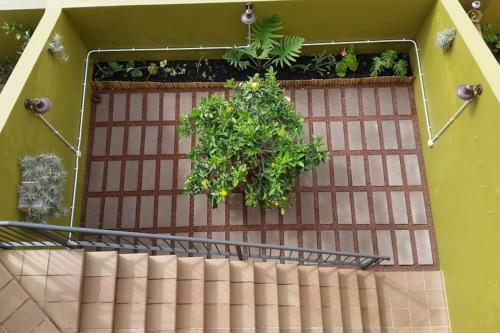 Villa La Flor De Anaga