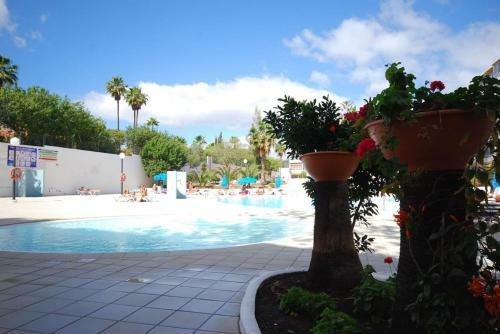 One Bedroom Apartments Playa Del Ingles