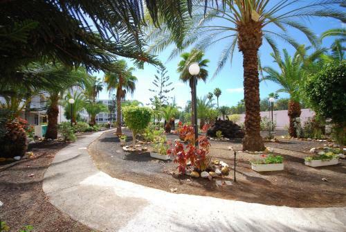 One Bedroom Apartments Playa Del Ingles