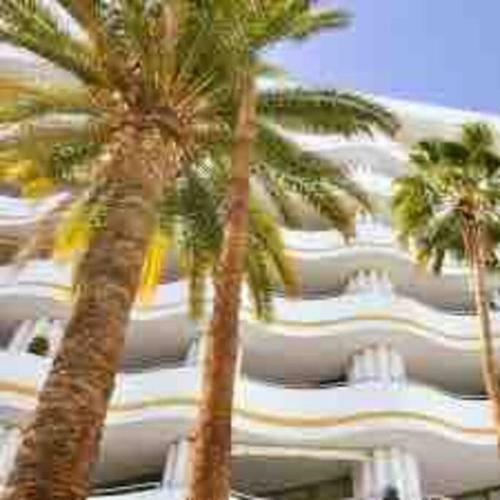 Paraiso Designer Conditioned Apartment With Terrace