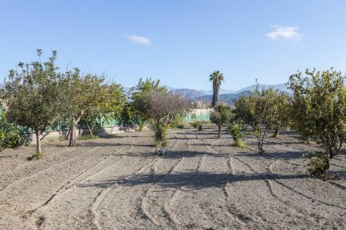 Cortijo Vega De Salobre�a
