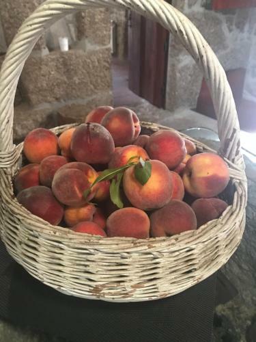 Agroturismo Quinta Casa Da Fonte