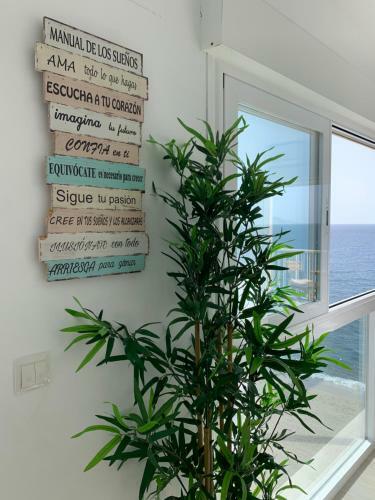 Apartamento Ocean Beach Salobre�a