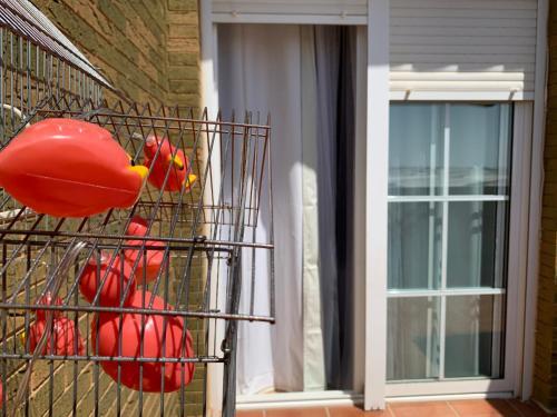 Apartamento Rachel?s Suite