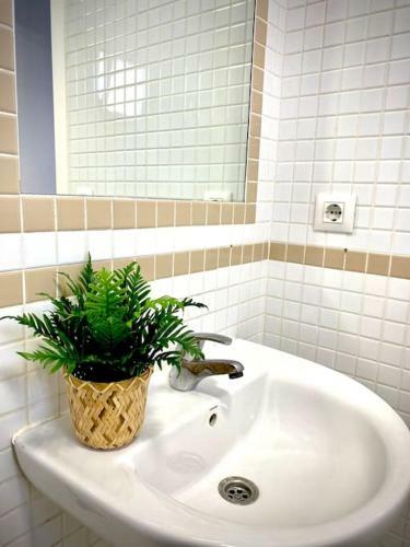 Mychoice Toreros By Bossh! Apartments