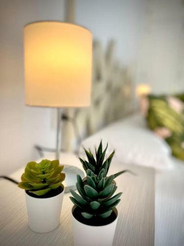 Mychoice Toreros By Bossh! Apartments