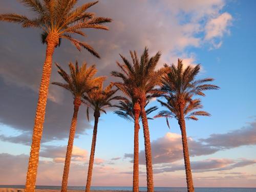 Apartamento Sybarix Beach: 1� L�nea De Playa