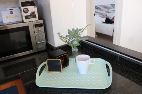 Apartamento Piso C�ntrico Con Parking Gratis
